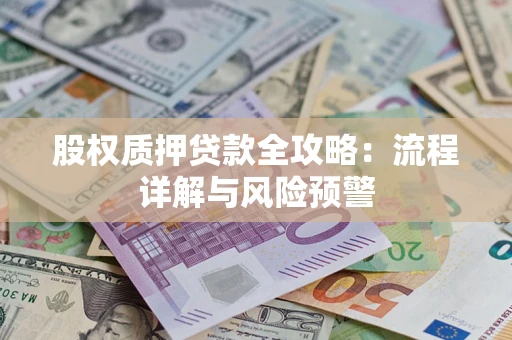 武汉股权质押贷款全攻略：流程详解与风险预警