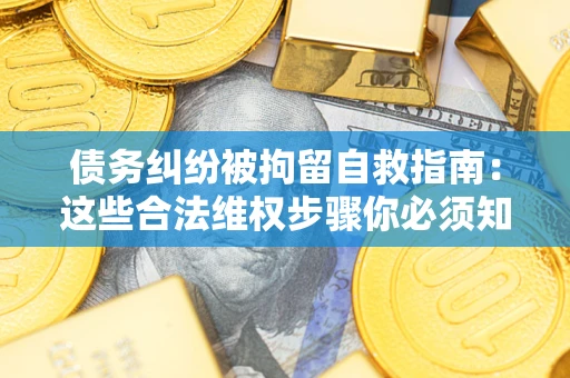 武汉债务纠纷被拘留自救指南：这些合法维权步骤你必须知道！