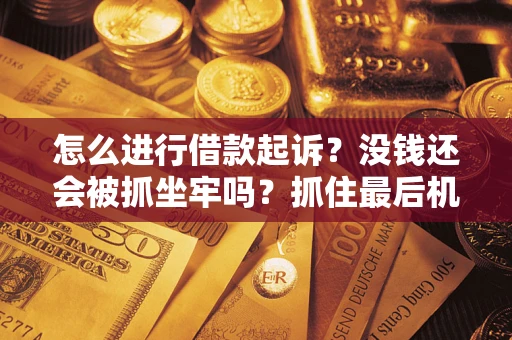 武汉怎么进行借款起诉？没钱还会被抓坐牢吗？抓住最后机会！