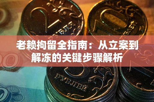 武汉老赖拘留全指南：从立案到解冻的关键步骤解析