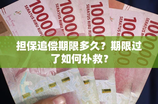 武汉担保追偿期限多久？期限过了如何补救？