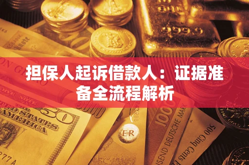 武汉担保人起诉借款人：证据准备全流程解析
