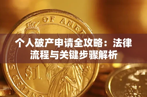 武汉个人破产申请全攻略：法律流程与关键步骤解析
